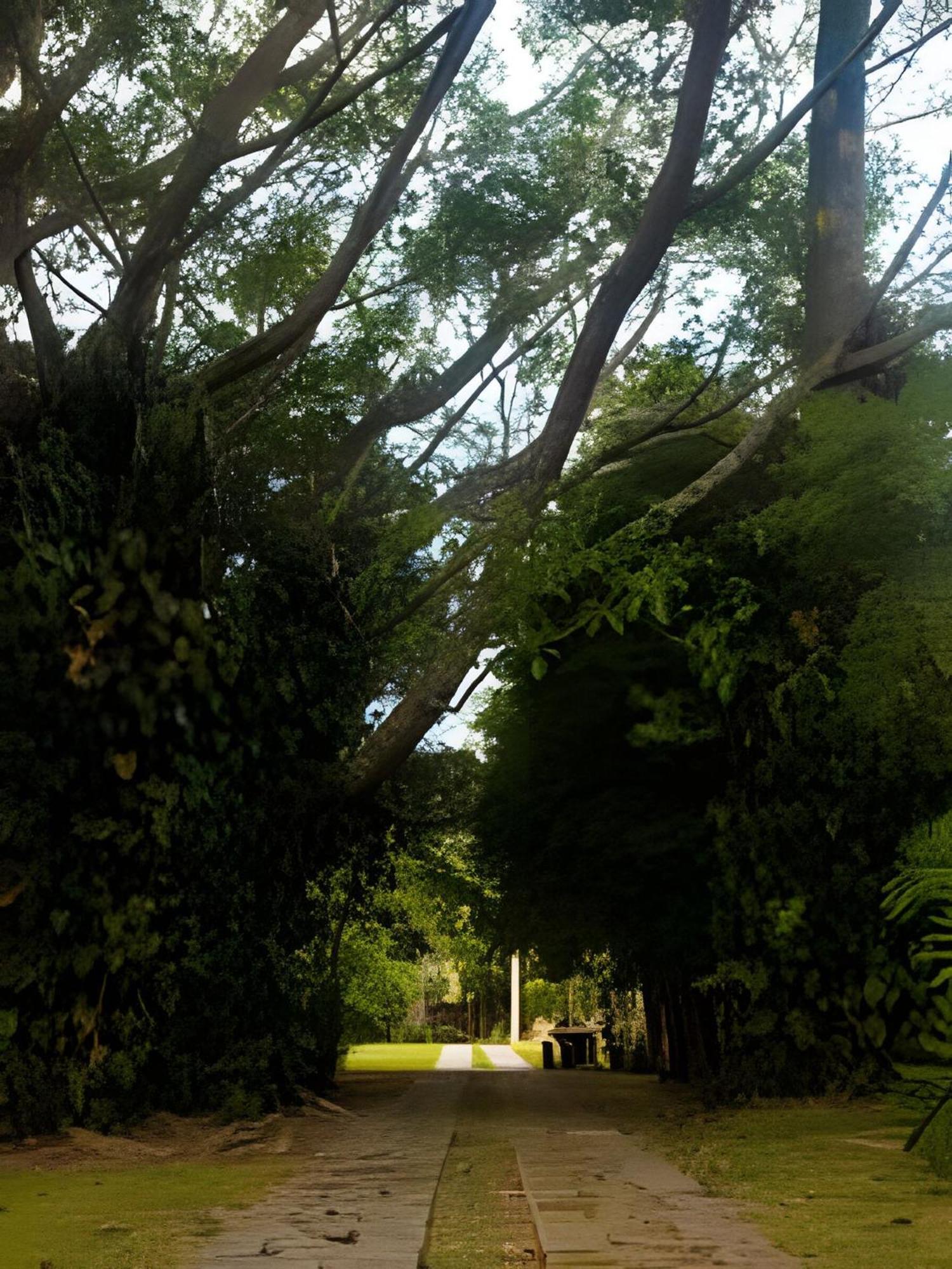 Вілла Sitio Em Sao Roque, Paraiso Ao Lado De Sao Paulo! Екстер'єр фото