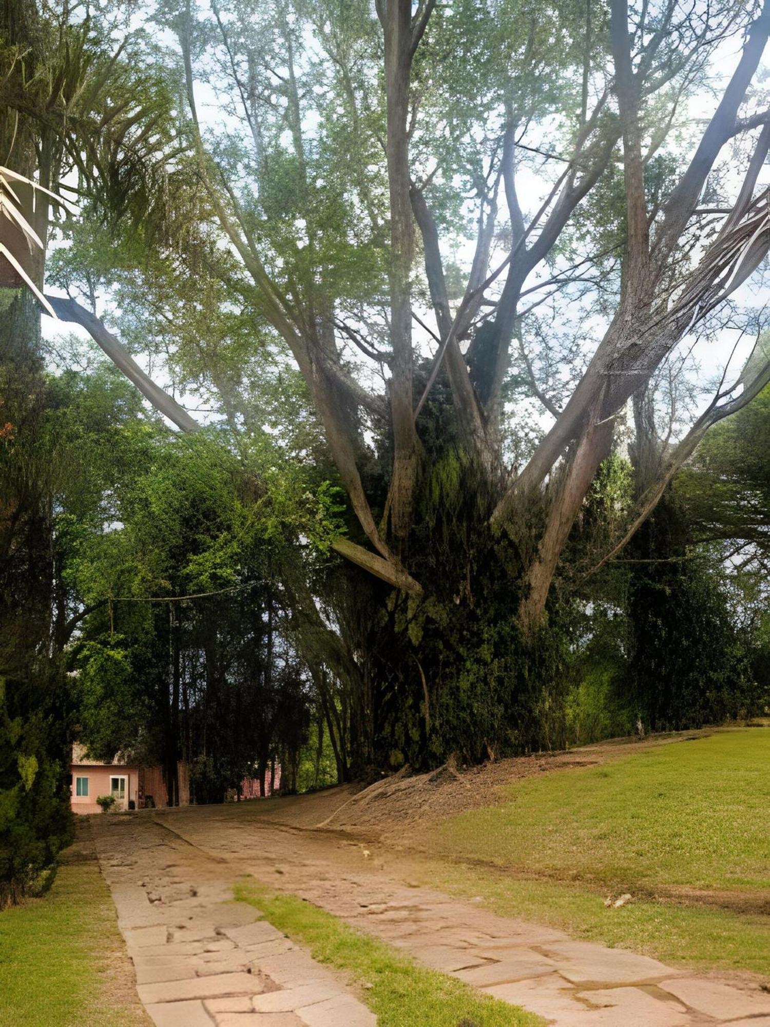 Вілла Sitio Em Sao Roque, Paraiso Ao Lado De Sao Paulo! Екстер'єр фото